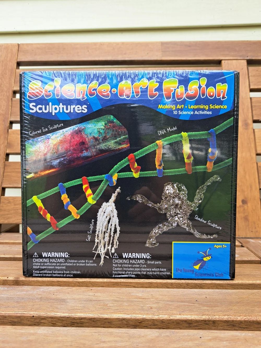 Science-Art Fusion Sculptures Kids Craft Kit by The Young Scientists Club